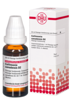 COLLINSONIA CANADENSIS D 2 Dilution